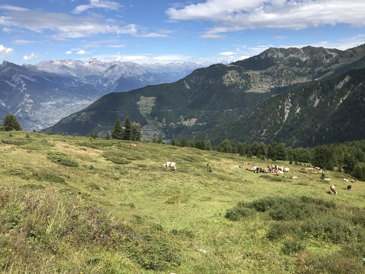 Chalet Clochette 4 Valles-Verbier La Tzoumaz Exterior photo